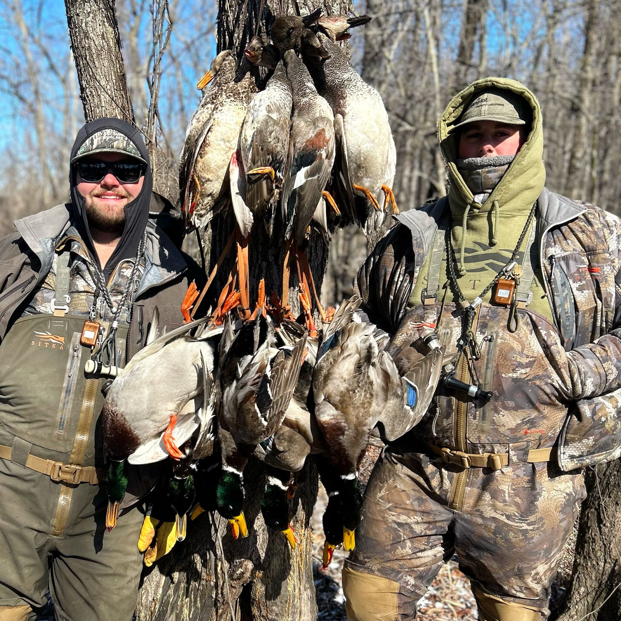 Sunflower River ducks. MS Freeze 2024 - Mississippi Outdoor Expo