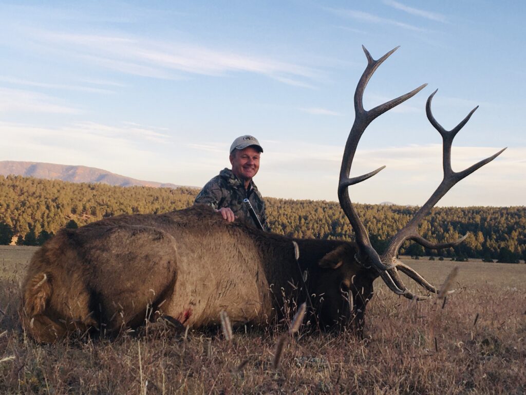 340 class New Mexico Bull Elk
