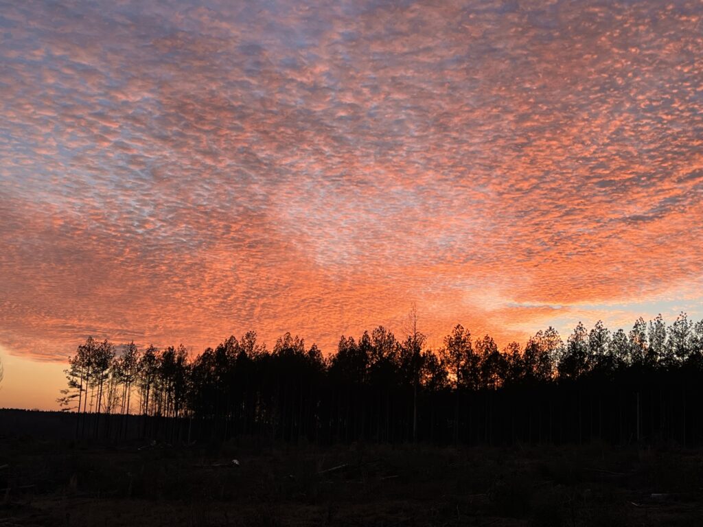 Mississippi sunset